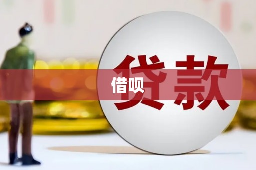 泾河借呗