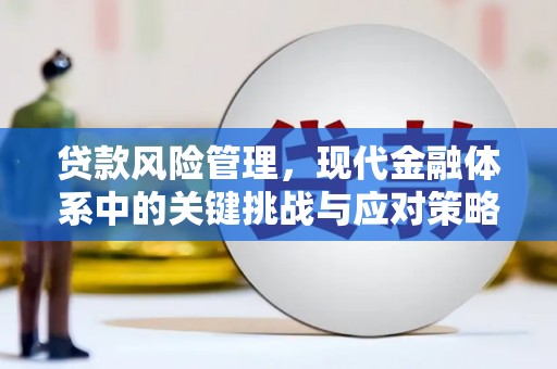 泾河贷款风险管理，现代金融体系中的关键挑战与应对策略