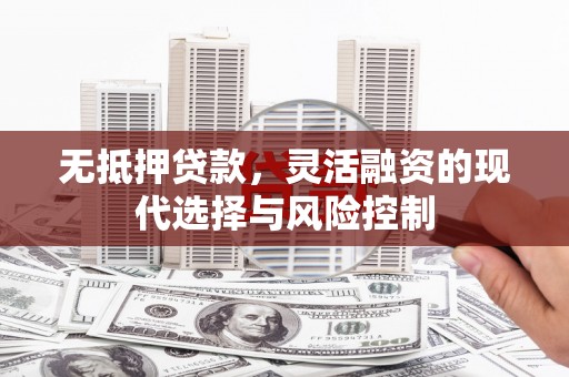 泾河无抵押贷款，灵活融资的现代选择与风险控制
