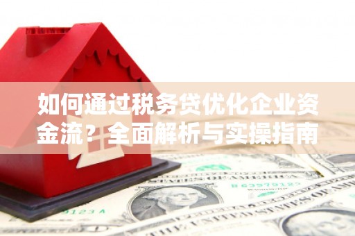 泾河如何通过税务贷优化企业资金流？全面解析与实操指南