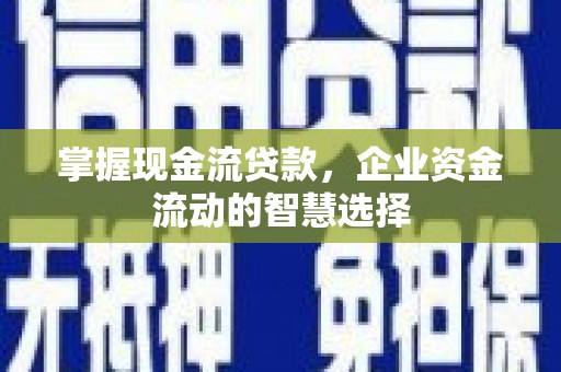 泾河掌握现金流贷款，企业资金流动的智慧选择