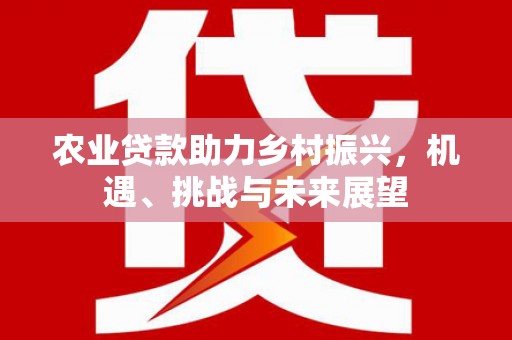泾河农业贷款助力乡村振兴，机遇、挑战与未来展望