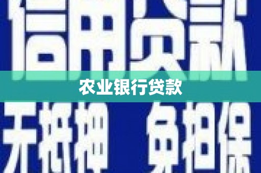 泾河农业银行贷款