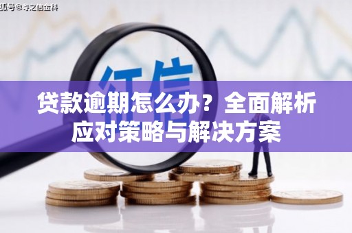 泾河贷款逾期怎么办？全面解析应对策略与解决方案