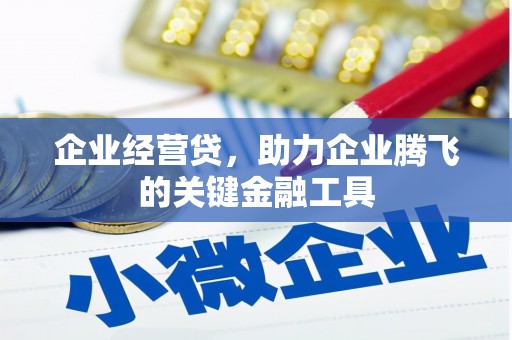 泾河企业经营贷，助力企业腾飞的关键金融工具
