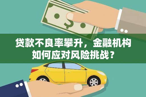 泾河贷款不良率攀升，金融机构如何应对风险挑战？