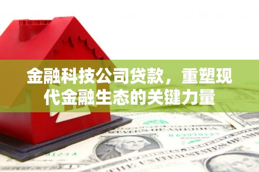 泾河金融科技公司贷款，重塑现代金融生态的关键力量