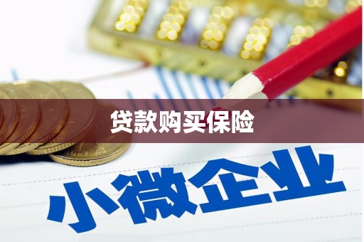 泾河贷款购买保险
