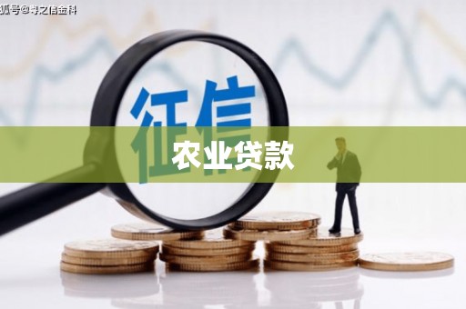 泾河农业贷款