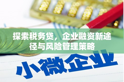 泾河探索税务贷，企业融资新途径与风险管理策略