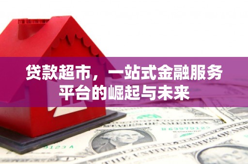 泾河贷款超市，一站式金融服务平台的崛起与未来