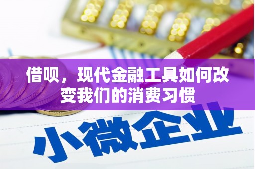 泾河借呗，现代金融工具如何改变我们的消费习惯