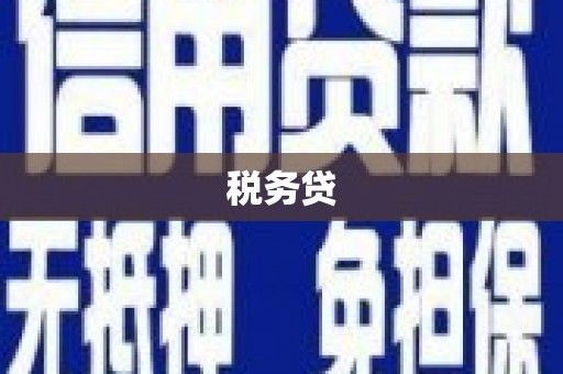 泾河税务贷