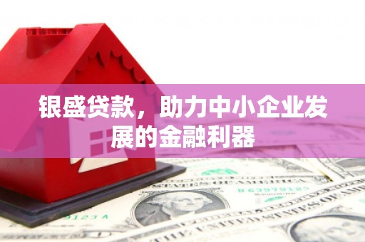 泾河银盛贷款，助力中小企业发展的金融利器
