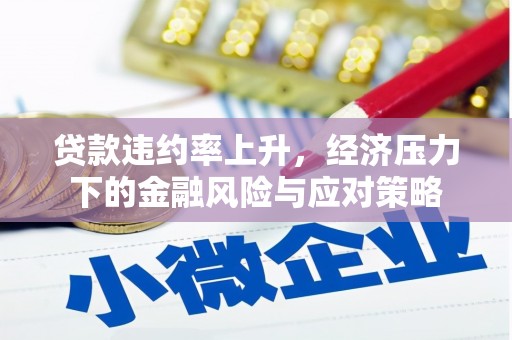 泾河贷款违约率上升，经济压力下的金融风险与应对策略