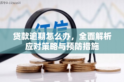 泾河贷款逾期怎么办，全面解析应对策略与预防措施