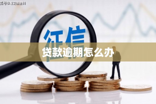 泾河贷款逾期怎么办