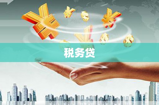 泾河税务贷