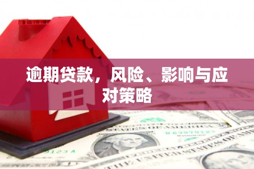 泾河逾期贷款，风险、影响与应对策略