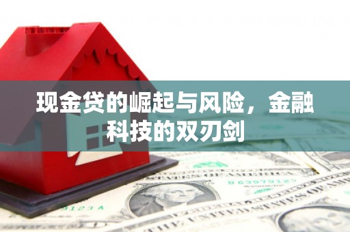 泾河现金贷的崛起与风险，金融科技的双刃剑