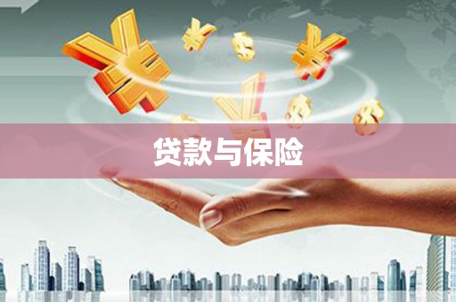泾河贷款与保险