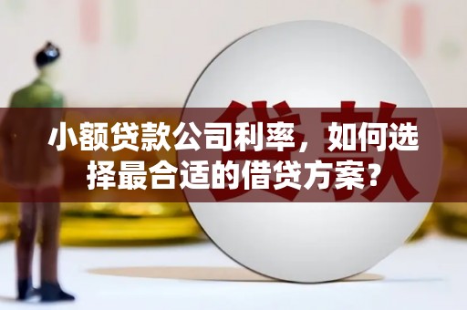 泾河小额贷款公司利率，如何选择最合适的借贷方案？