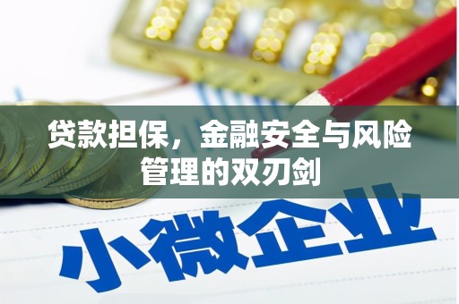 泾河贷款担保，金融安全与风险管理的双刃剑