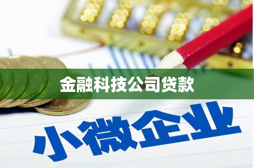泾河金融科技公司贷款
