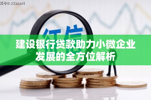 泾河建设银行贷款助力小微企业发展的全方位解析