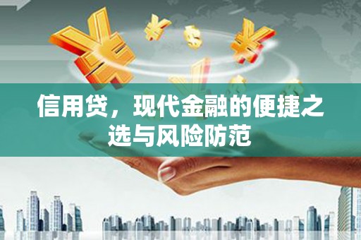 泾河信用贷，现代金融的便捷之选与风险防范