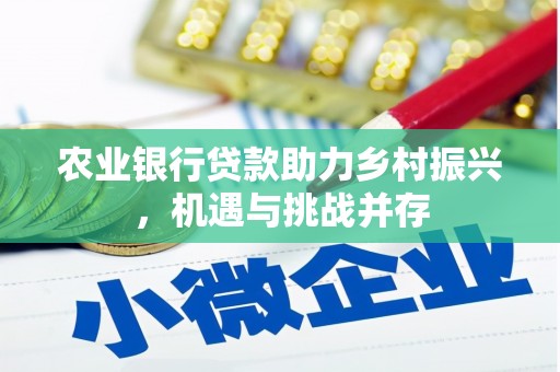 泾河农业银行贷款助力乡村振兴，机遇与挑战并存