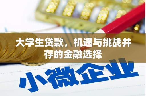 泾河大学生贷款，机遇与挑战并存的金融选择