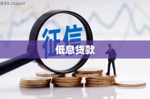 泾河低息贷款