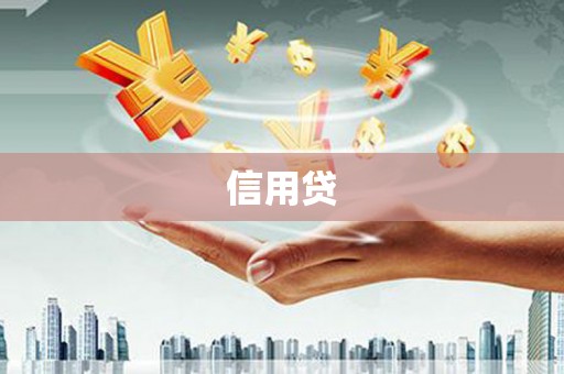 泾河信用贷
