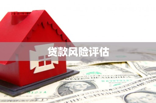 泾河贷款风险评估