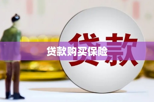 泾河贷款购买保险