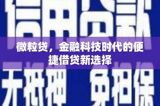 泾河微粒贷，金融科技时代的便捷借贷新选择