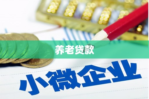 泾河养老贷款