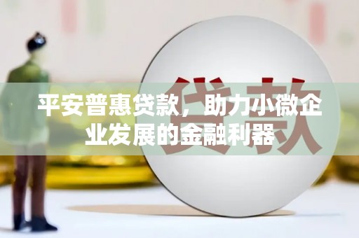 泾河平安普惠贷款，助力小微企业发展的金融利器