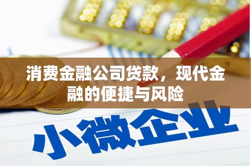 泾河消费金融公司贷款，现代金融的便捷与风险