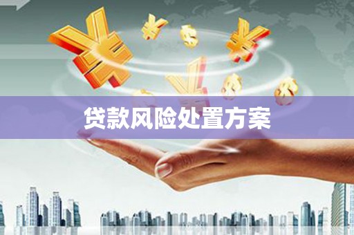 泾河贷款风险处置方案