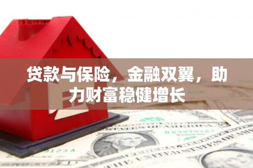 泾河贷款与保险，金融双翼，助力财富稳健增长
