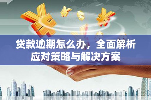 泾河贷款逾期怎么办，全面解析应对策略与解决方案