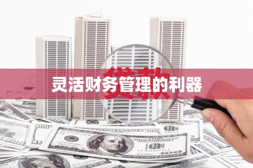 泾河灵活财务管理的利器