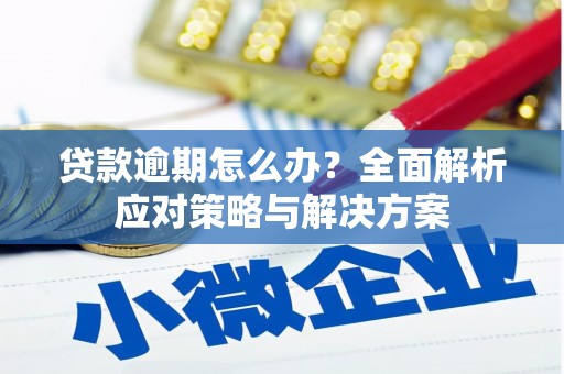 泾河贷款逾期怎么办？全面解析应对策略与解决方案