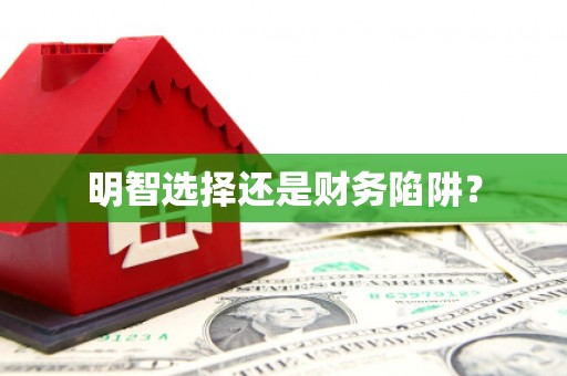 泾河明智选择还是财务陷阱？