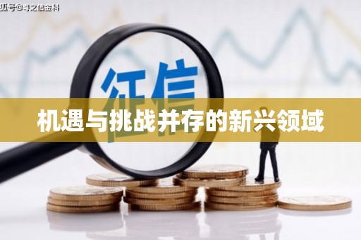泾河机遇与挑战并存的新兴领域