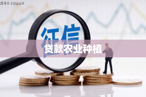 泾河贷款农业种植