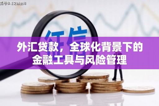 泾河外汇贷款，全球化背景下的金融工具与风险管理